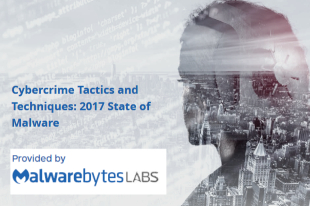 This special end-of-year report will look at the tactics of infection, attack methods, and changing development and distribution techniques used by cybercriminals over the last 12 months.  
 <a href="Cybercrime tactics and techniques 2017 state of malware.php" style="font-size: 16px;
font-weight: 300;
margin-bottom: 0;">Read More</a>